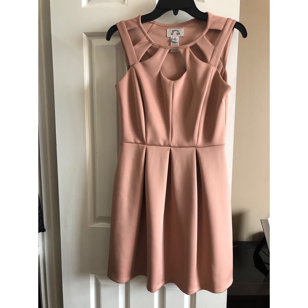 Sweet storm Pink Dress